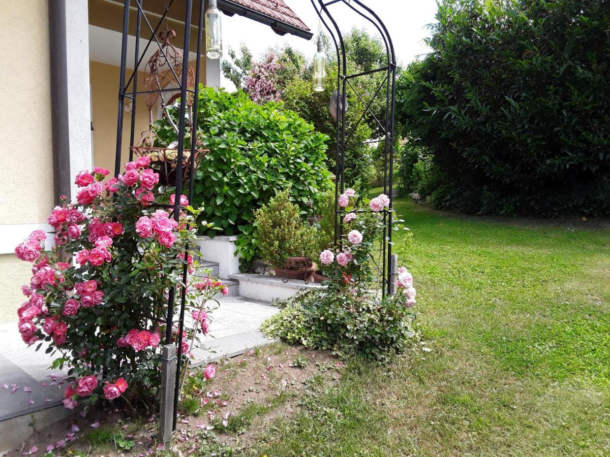 Anna'S Home - Ferienwohnungen Ratsch an der Weinstraße Extérieur photo